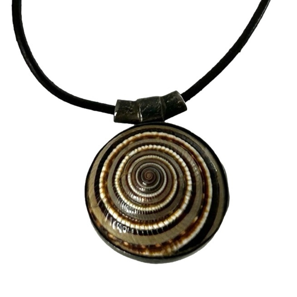 Sundial Shell And Mother Of Pearl Necklace 17”